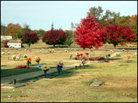 Lee Memorial Park Cemetery